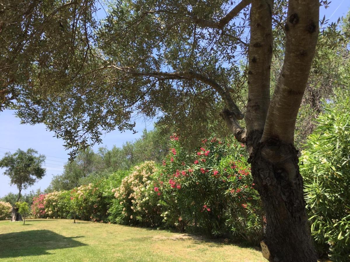 Villa Gecko, Arillas Kavvadades Kültér fotó
