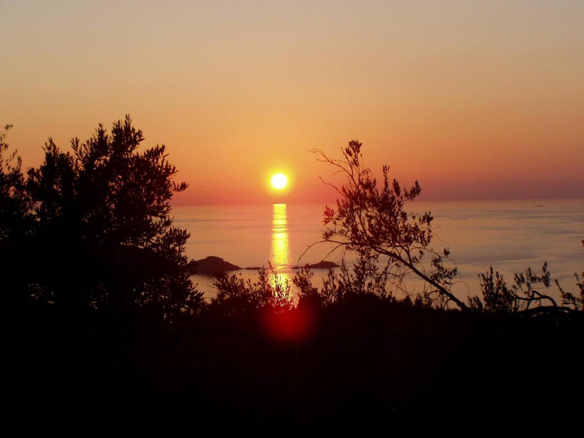 Villa Gecko, Arillas Kavvadades Kültér fotó